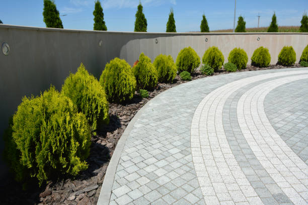 Best Driveway Paving Near Me  in Virginia, MN